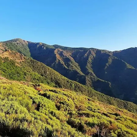La Terrasse De L'aigoual Valleraugue